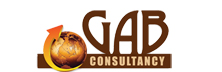 GAB Consultancy: ISO Certification Made Simpler