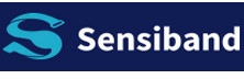Sensiband: Modernizing Metal Allergy Detection with Simplicity